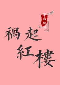 祸起观音院高清